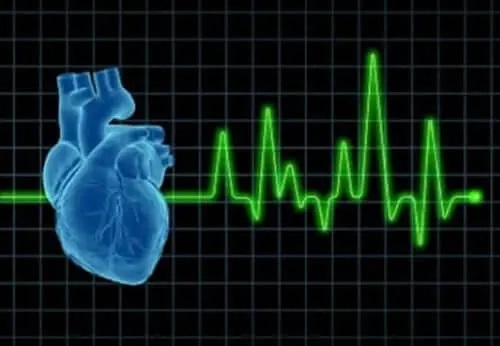 Monitor cardiac și inimă