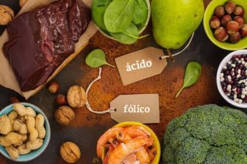 Surse vegetale și animale de vitamina B9