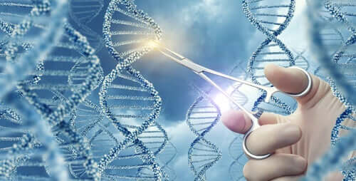 Descoperă principalele tipuri de mutații genetice