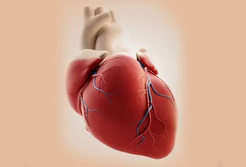 Cauzele trunchiului arterial comun
