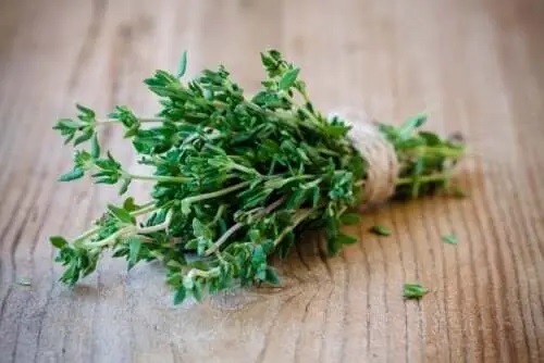 Legătură de cimbru verde