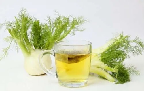 Fenicul în remedii naturale pentru gazele la stomac