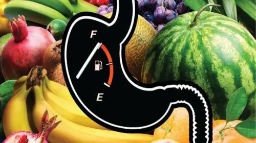 Fructe folosite drept combusytibil pentru organism