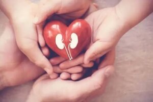 Alimente benefice pentru rinichi