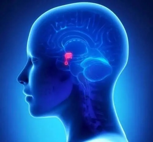 Ce este atetoza la oameni