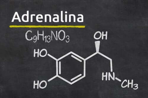 Formula adrenalinei înscrisă pe o tablă