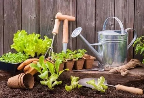 Cum să faci o grădină urbană într-un spațiu mic