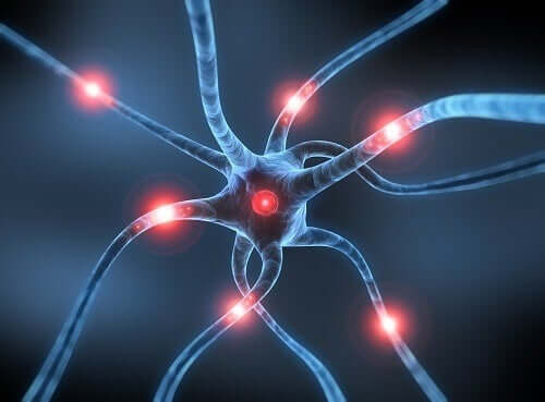 Impulsuri electrice circulând prin fibre nervoase