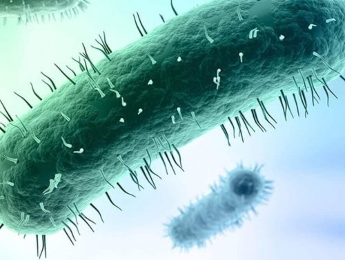 Infecția cu Mycoplasma genitalium