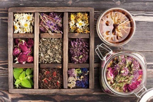 Plante medicinale