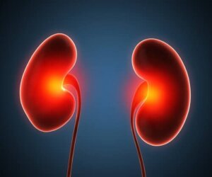 Tratamente pentru abcesul renal