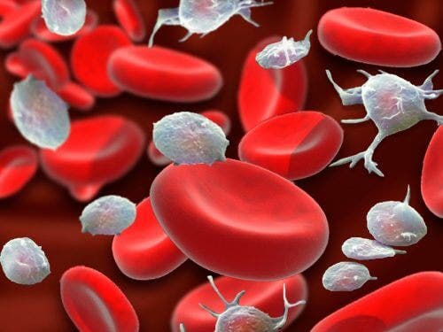 Trombocite și globule roșii