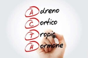 Caracteristici și efecte ale corticotropinei