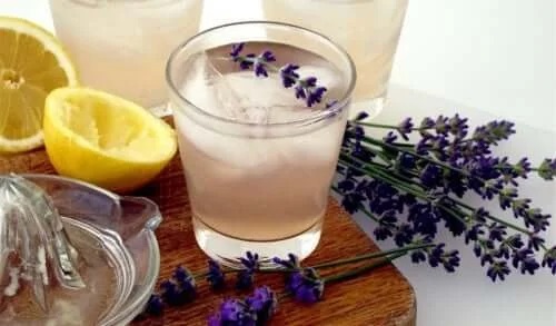 Infuzie de lavandă proaspătă