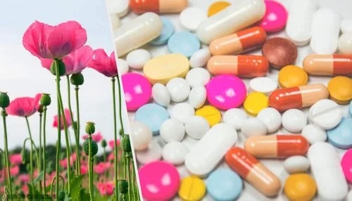 Medicamente opioide
