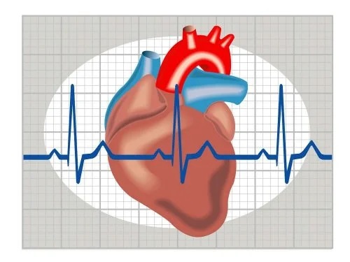 Reprezentare grafică a inimii