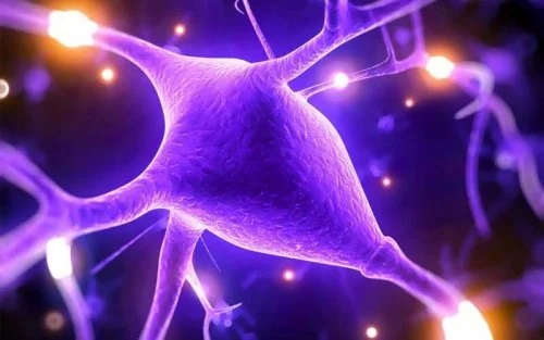 Riscurile hipermagnezemiei asupra sistemului nervos