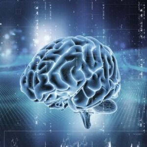 Sistemul de recompensă al creierului: ce este?