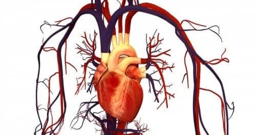 Utilizări ale medicamentului Atorvastatin pentru sănătatea inimii