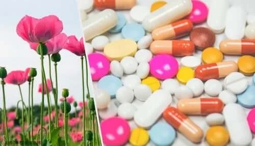Capsule de opioide