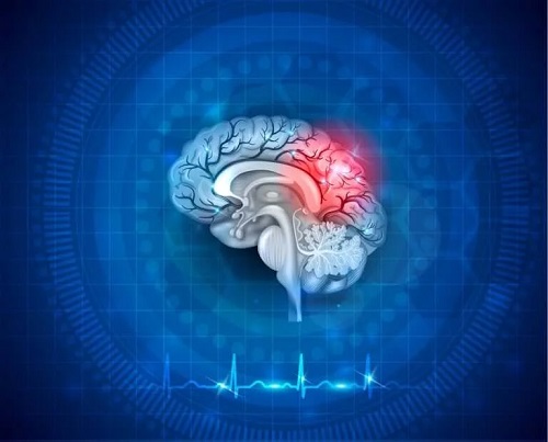 Neuroplasticitatea creierului