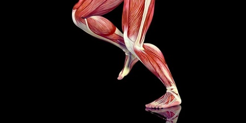 Punctele de declanșare din mușchii picioarelor