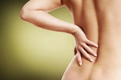 Beneficiile rubarbei pentru durerea de spate