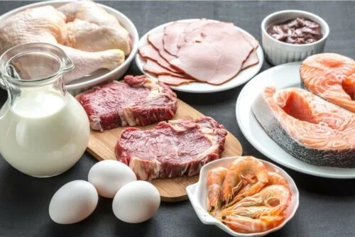 Funcțiile proteinelor în organism