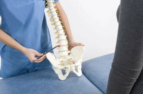 Medic ce analizează coloana vertebrală