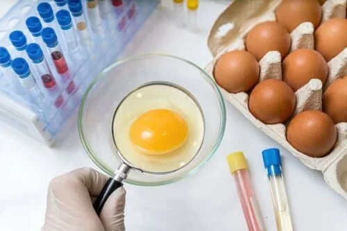 Medic ce testează ouă pentru infecția cu Salmonella