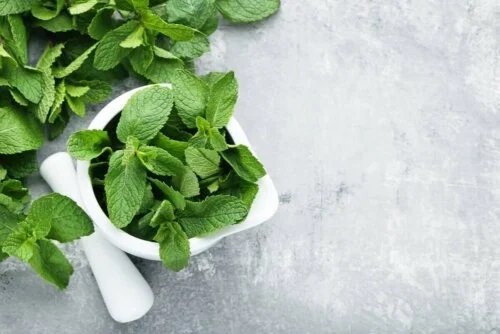 Remedii cu mentă pentru migrene la copii