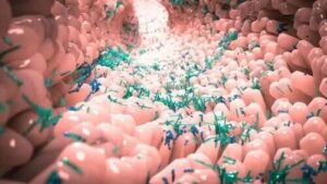 Ce este microbiota normală a corpului?