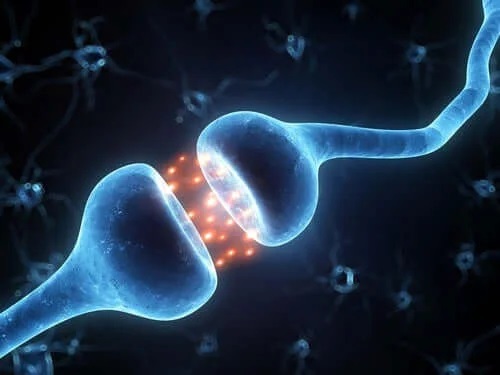 Neuroni care comunică între ei