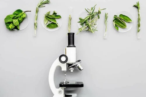 Plante privite la microscop