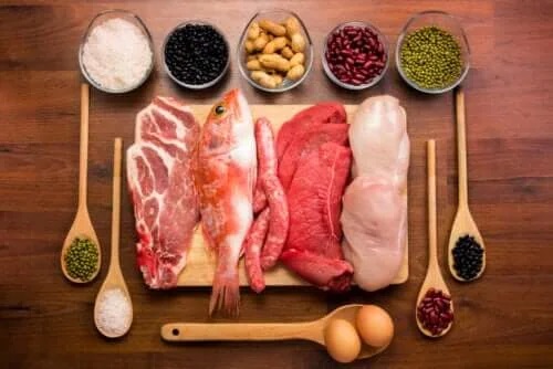 Funcțiile proteinelor în organism