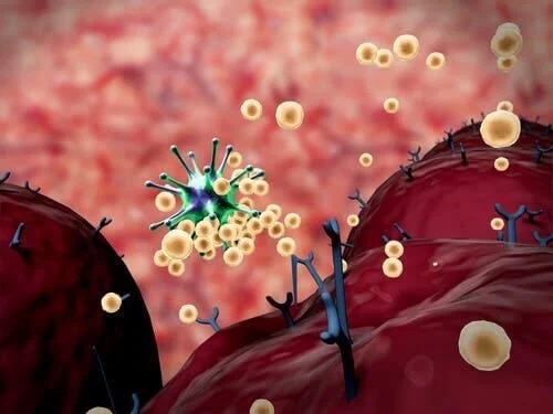 Ce este răspunsul imun al organismului?