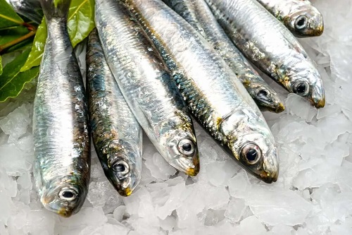 Sardine pe pat de gheață