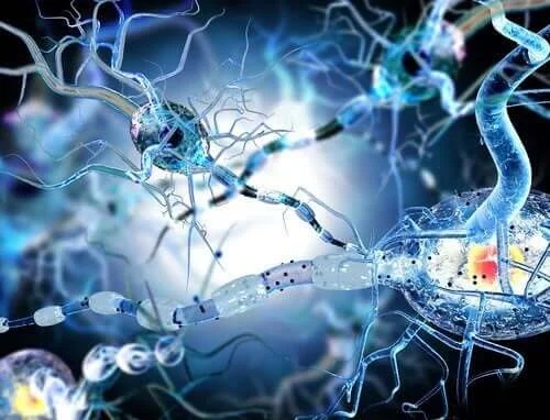 Sistemul nervos afectat de epilepsie