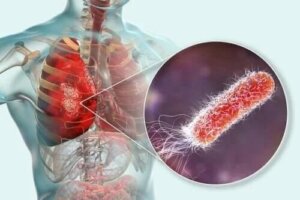 Există bacterii în plămâni?