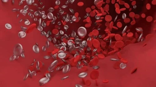 Celule în sânge