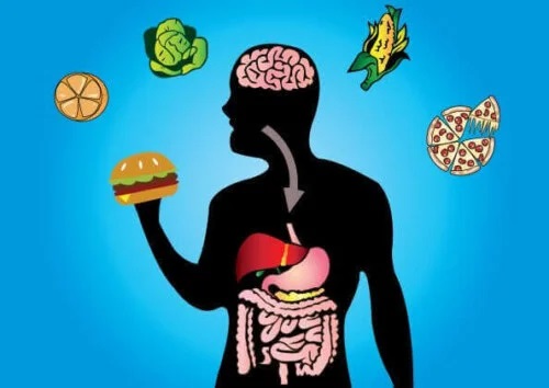 Digestia alimentelor