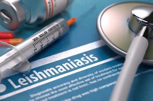 Leishmaniaza este contagioasă?