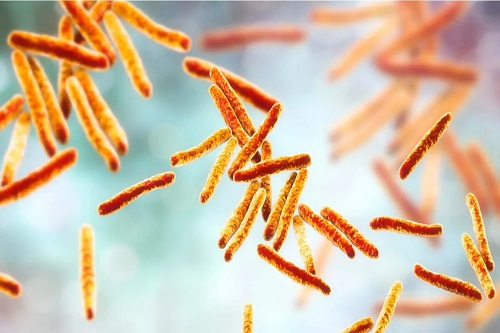 Bacterii care provoacă tuberculoză