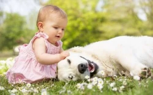 Bebeluș care mângâie un câine