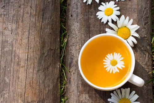 Beneficiile ceaiului de mușețel proaspăt