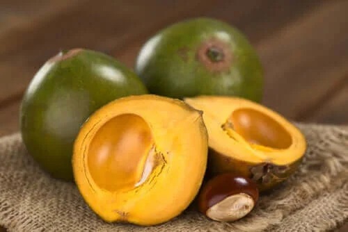 Caracteristicile și beneficiile fructului lucuma