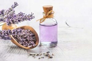 Cele mai eficiente plante medicinale