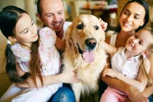 Familie care are un câine