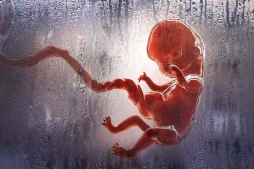 Tipuri de avort și ce trebuie să știi