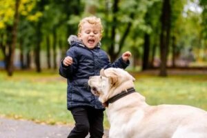 Frica de animale la copii: ce este de făcut?